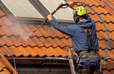 Démoussage et hydrofuge de toiture à Bellebat